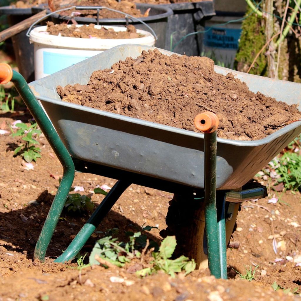 Návrh bez názvu (77)